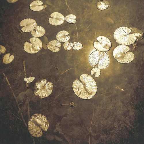 Northwoods Improvisers - Fanfares [Compact Discs]