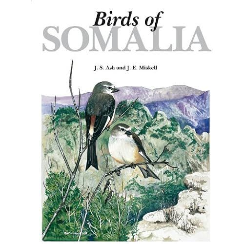 Birds Of Somalia