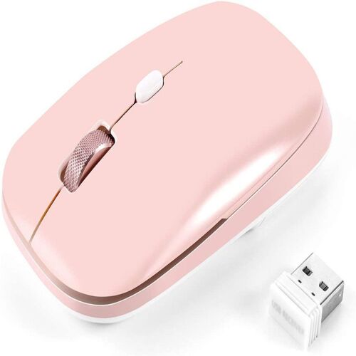 Souris silencieuse 2,4 G avec récepteur USB, adaptée à goodnice