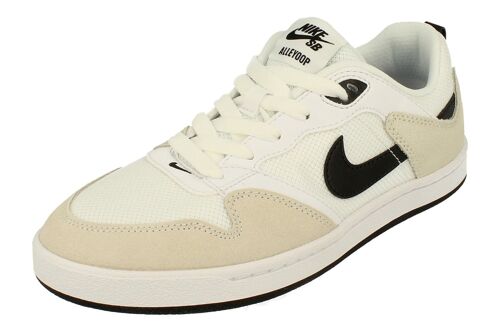 Chaussures Nike Sb Alleyoop Trainers Cq0369 100