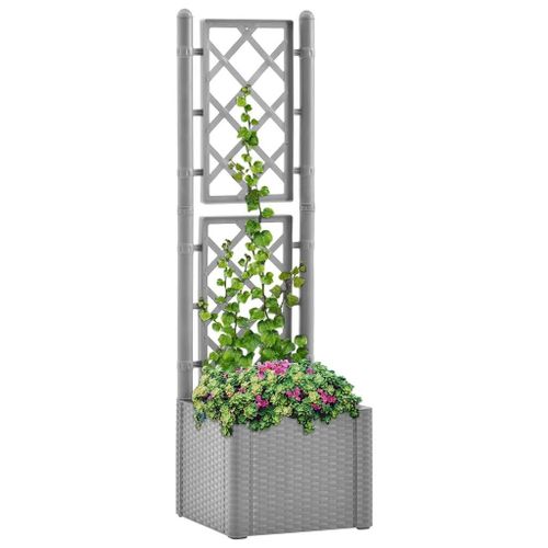 Prolenta Premium - Lit Surélevé De Jardin Et Treillis Et Système D'arrosage Gris