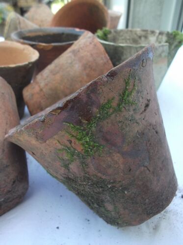 Pots Anciens En Terre Cuite De Résinier Fait Main Des Années 1840 A 1950