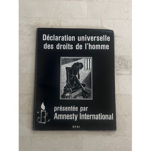 Déclaration Universelle Des Droits De L’Homme, Par Amnesty International 