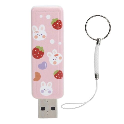 U Disque PushPull USB2.0 Mémoire Voiture Flash Drive Accessoires Informatiques Fraise Lapin Motif(64GB)