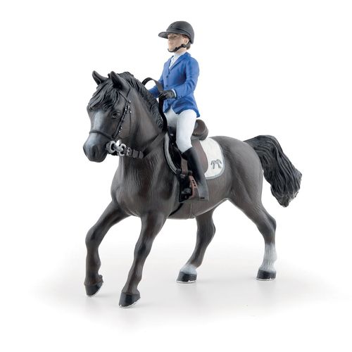 Chevaux, Poulains Et Poneys Eden Et Qimbaya