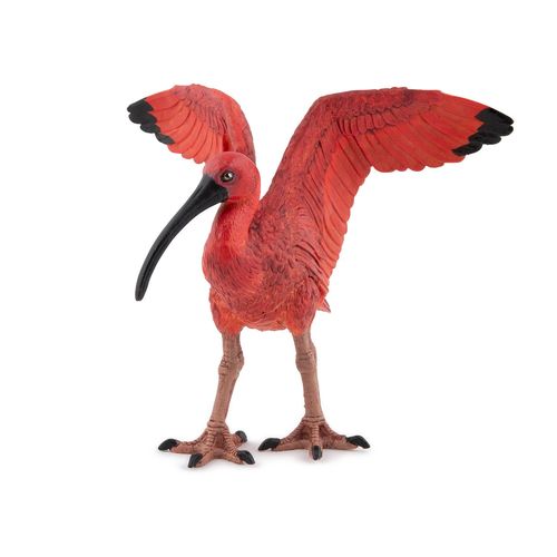 La Vie Sauvage Ibis Rouge
