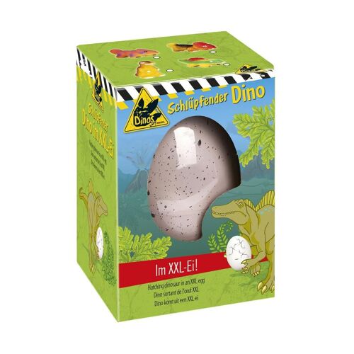 Moses Dino Sortant De L'oeuf
