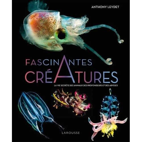 Fascinantes Créatures - La Vie Secrète Des Animaux Des Abysses