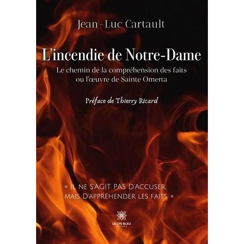 L'incendie De Notre-Dame - Le Chemin De La Compréhension Des Faits Ou L'oeuvre De Sainte Omerta
