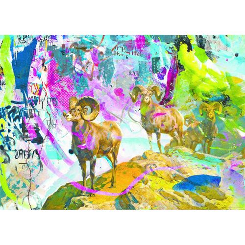 Big Horns - Puzzle 1000 Pièces