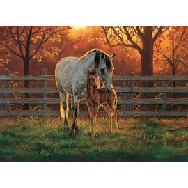 Puzzle Pièces Xxl - Temps Calme - Puzzle 500 Pièces