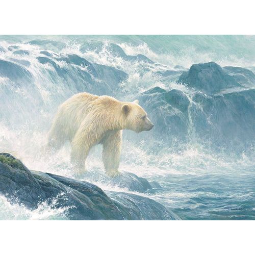 Puzzle Pièces Xxl - Salmon Watch - Spirit Bear - Puzzle 500 Pièces