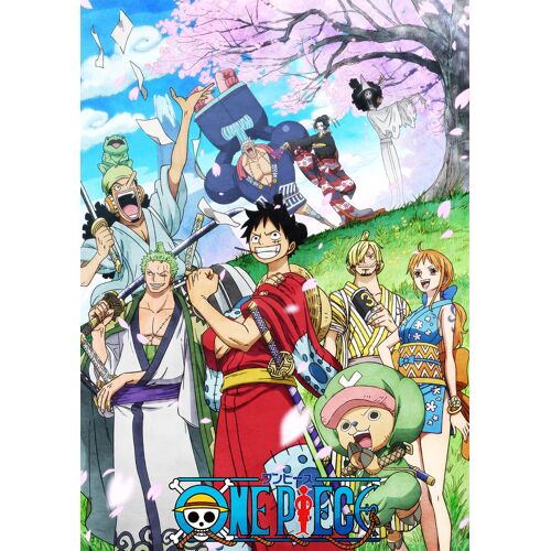One Piece 20th Piece.24 Dvd