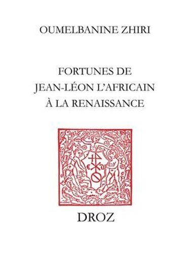 L'afrique Au Miroir De L'europe