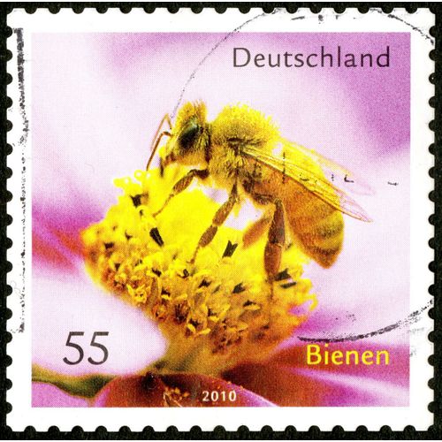 Timbre Oblitéré Deutschland, Bienen, 2010, 55