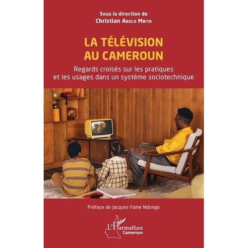 La Télévision Au Cameroun - Regards Croisés Sur Les Pratiques Et Les Usages Dans Un Système Sociotechnique