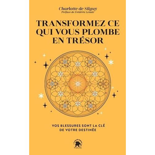 Transformez Ce Qui Vous Plombe En Trésor - Vos Blessures Sont La Clé De Votre Destinée