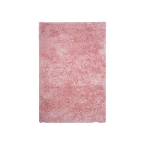 Obsession Tapis Design À Poils Longs Shaggy (Rose Poudré, 120x170)