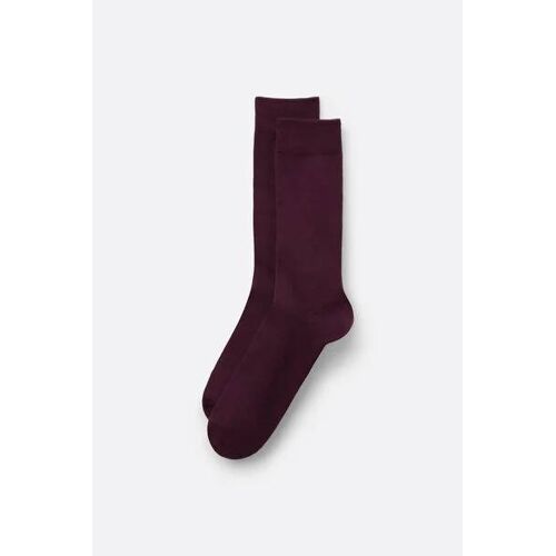 Calzedonia Chaussettes Homme Courtes En Coton Thermique Homme Taille 42-43