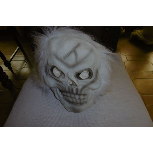 Masque Souple Latex Tête Entière Fantôme Avec Cheveux Blanc David Halsall Toys Hl 511:3