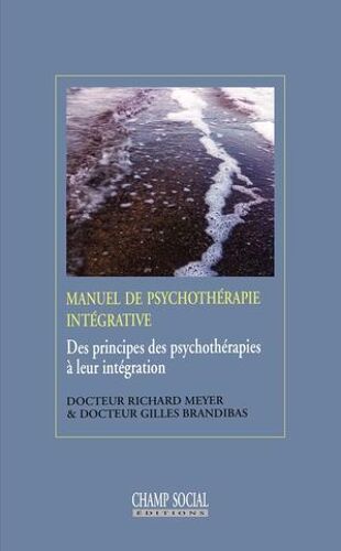 Manuel De Psychothérapie Intégrative