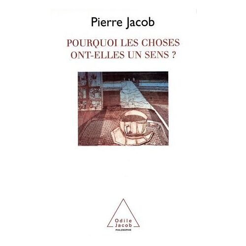 Pourquoi Les Choses Ont-Elles Un Sens ?