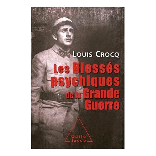 Les Blessés Psychiques De La Grande Guerre