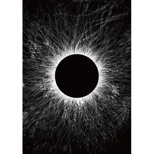 Unity For Universal Truth [Dvd]