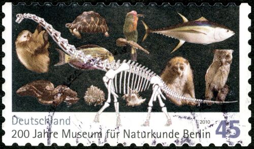 Timbre Oblitéré Deutschland, 200 Jahre Museum Für Naturkunde Berlin, 2010, 45