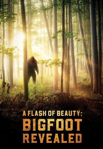 A Flash Of Beauty: Bigfoot Revealed [Dvd]