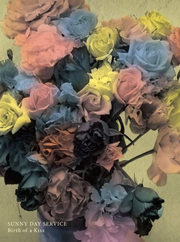 Birth Of A Kiss (Dvd) [Rose-230]