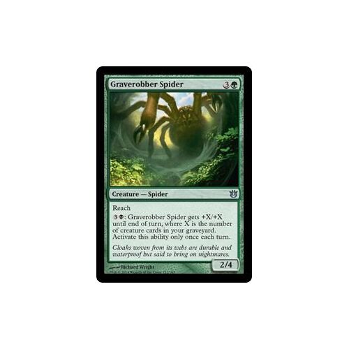 Graverobber Spider