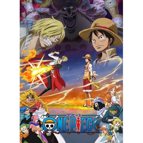 One Piece 19th Piece.12 Dvd