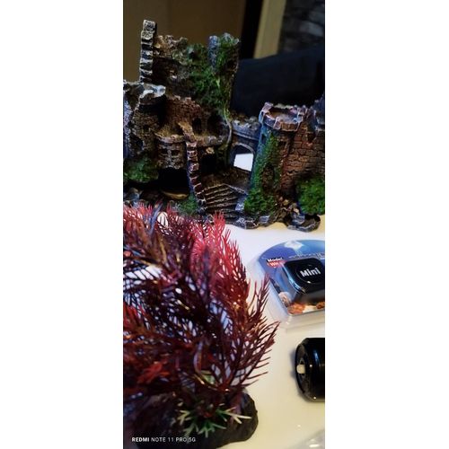 Décorations Aquarium