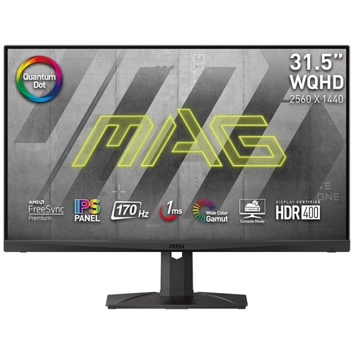 MSI Optix MAG321QR-QD - Écran LED - jeux - 31.5" - 2560 x 1440 WQHD @ 170 Hz - IPS - 400 cd/m² - 1200:1 - 1 ms - 2xHDMI, DisplayPort, USB-C - noir