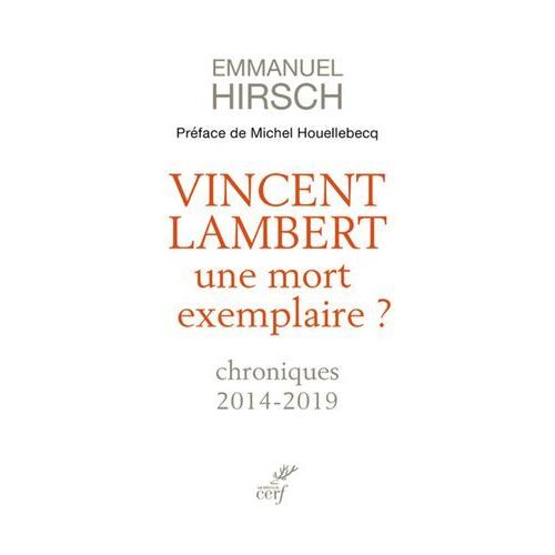 Vincent Lambert, Une Mort Exemplaire ? - Chroniques 2014-2019