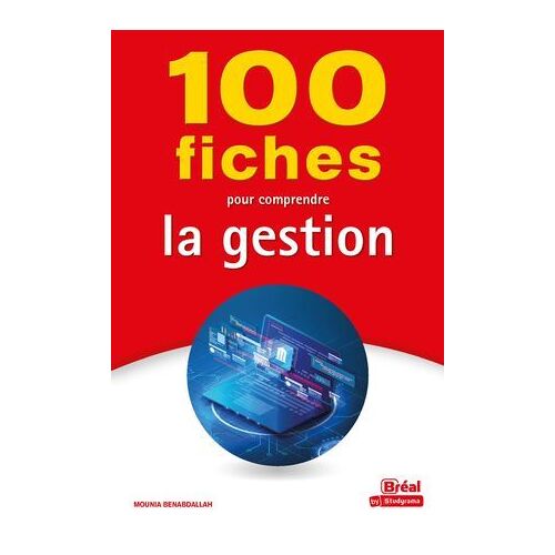 100 Fiches Pour Comprendre La Gestion