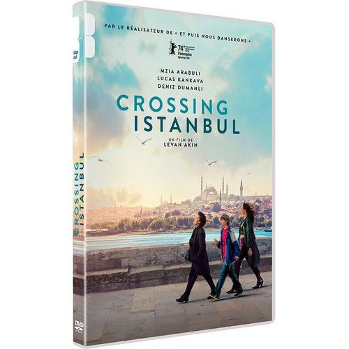 Crossing Istanbul