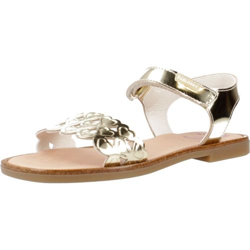 Pablosky 427286p Colour D?or