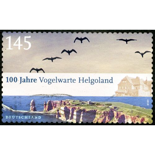 Timbre Oblitéré Deutschland, 100 Jahre Vogelwarte Helgoland, 2010, 145
