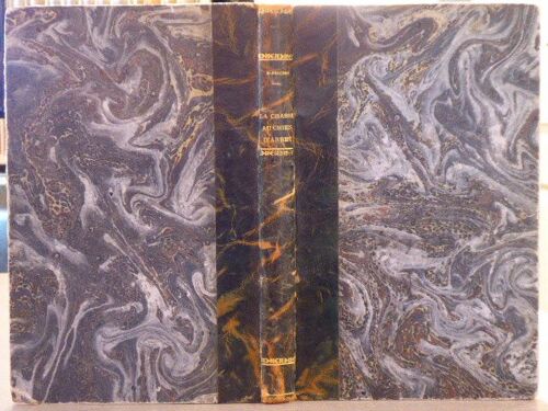 La Chasse Au Chien D'arrêt. Conseils Pra