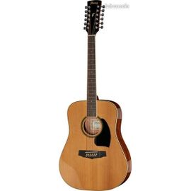 Guitare Ibanez + Housse Bien Rembourré