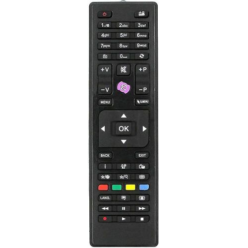 Télécommande universelle pour téléviseurs intelligents JVC RC4875/RC-4875 - Facile à utiliser, design ABS durable