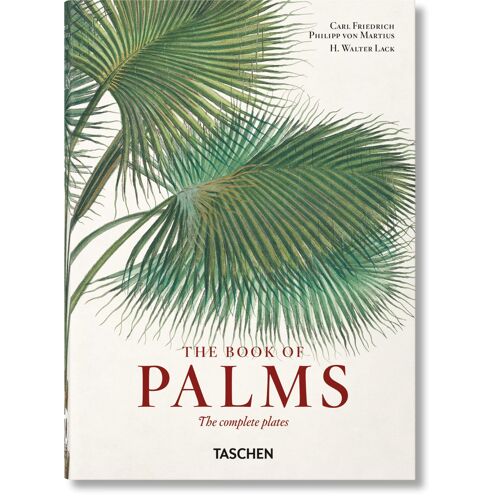Von Martius. El Libro De Las Palmeras.