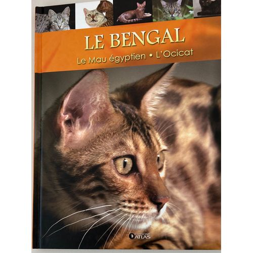 Le Bengal Le Mau Égyptien L’Ocicat