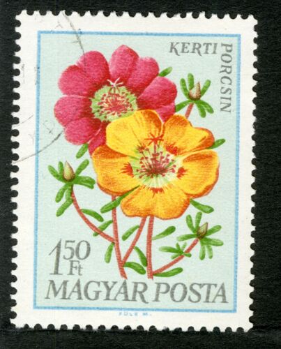 Timbre Oblitéré Magyar Posta, Kerti Porcsin, 1.50 Ft