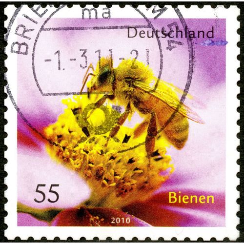 Timbre Oblitéré Deutschland, Bienen, 2010, 55
