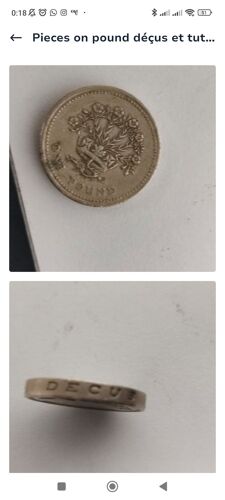 Pièces One Pound Déçus Et Tutamen