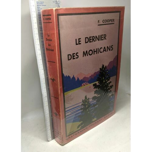 Le Dernier Des Mohicans. Adaptation Nouvelle - Livre Grand Format