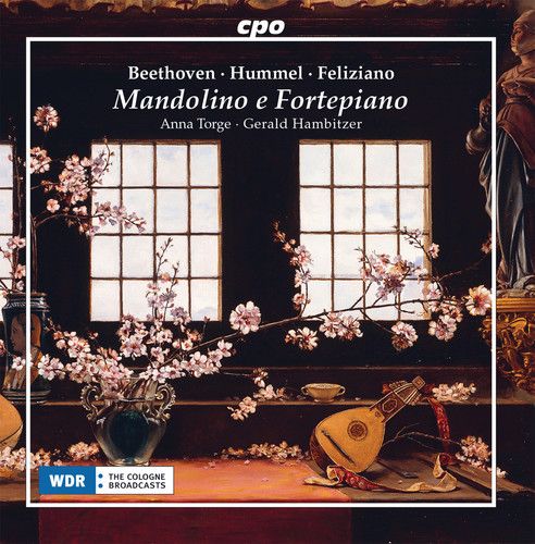 Beethoven / Torge / Hambitzer - Mandolino E Fortepiano [Compact Discs]
